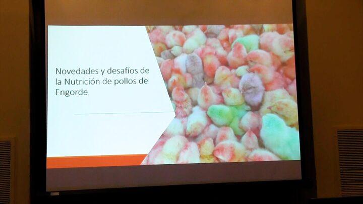Nutrición de pollos de engorde: Desafíos y novedades