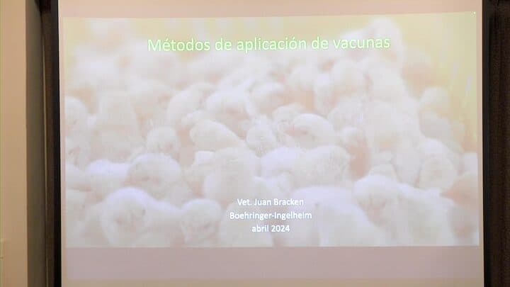 Vacunación en aves: Cómo evitar errores