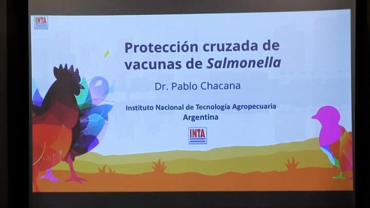 Protección cruzada de vacunas de Salmonella