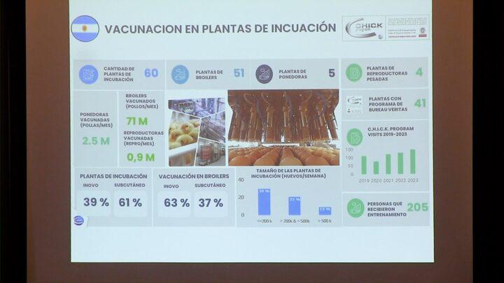 Fallas en la vacunación en plantas de incubación