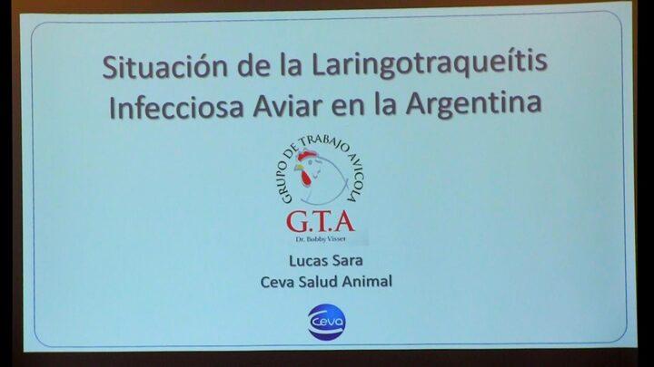 Laringotraqueitis infecciosa aviar: Situación en Argentina