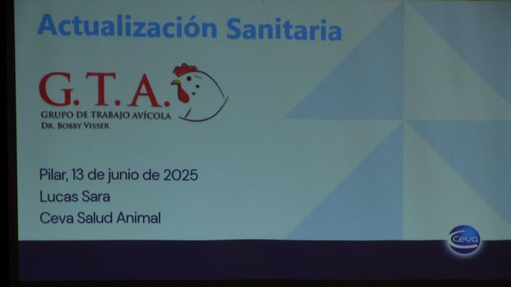 Actualidad Sanitaria: Adenovirus aviares - Bronquitis infecciosa - Laringotraqueítis infecciosa
