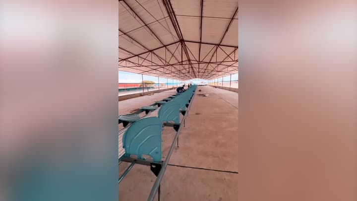 Proyecto Huevo Libre de Jaula en México