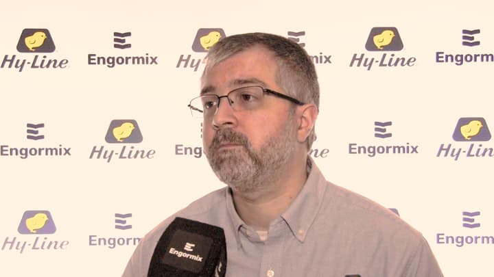 Avances genéticos en Hy-Line White (W-80)