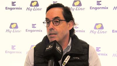 Huevo: ¿Por qué no vendo más?