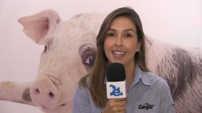 Disminuir el uso de antibióticos en cerdos, Dra. Johana Ciro