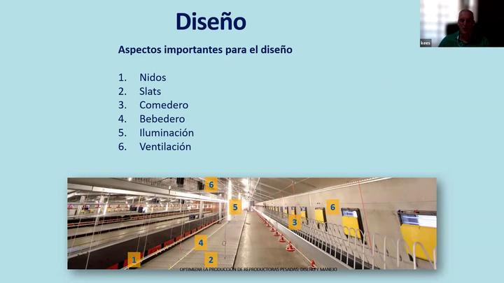 Diseño de sistemas de nidos: manuales vs automáticos