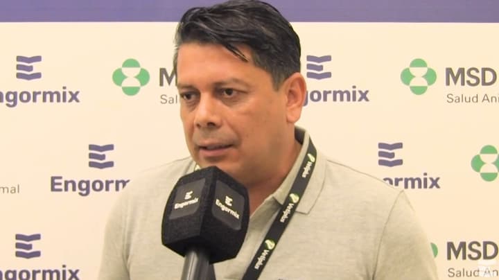 Vacuna recombinante para el control integral de Marek, Gumboro y Laringo 