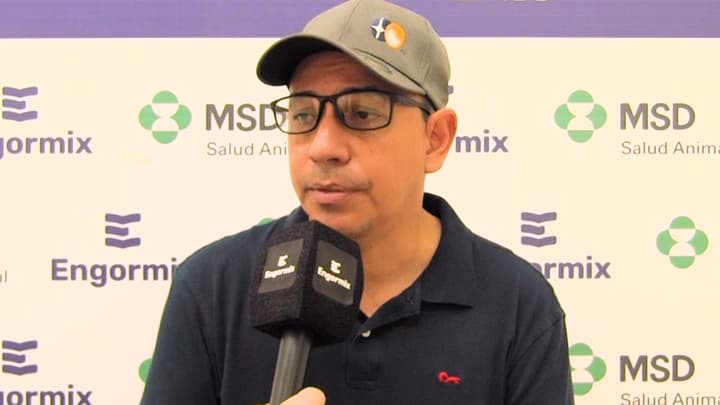 Innovación y Vacunación eficiente en Avicultura