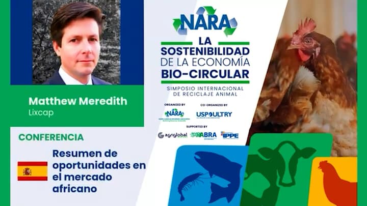 Rendering: Oportunidades en el Mercado Africano 