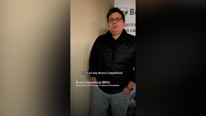 Vaca en transición: Ensayo utilizando un probiótico