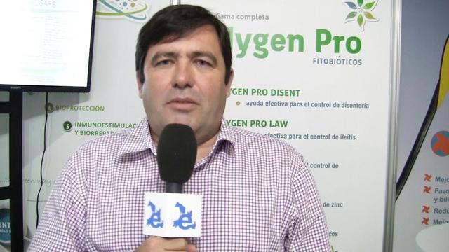 Fitobióticos: Control de estreptococias en ganado porcino