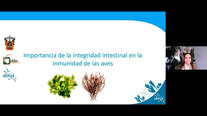 Importancia de la integridad intestinal en la inmunidad de las aves