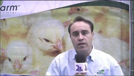 Industria Avicola: Control de olores y reutilización de camas