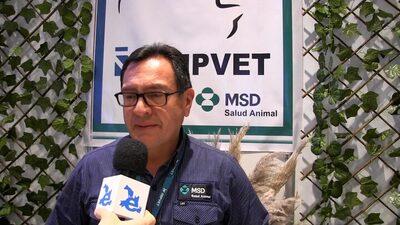 Población ganadera en Ecuador: Sanidad en números