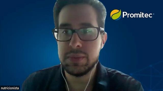 Pollo de engorde: FOS y butirinas para la productividad