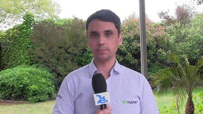 Conseguir eficiencia nutricional en lechones