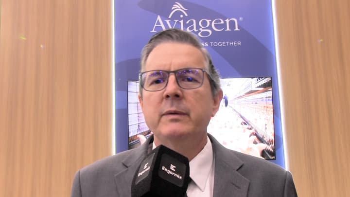 Conformación corporal en la reproductora moderna