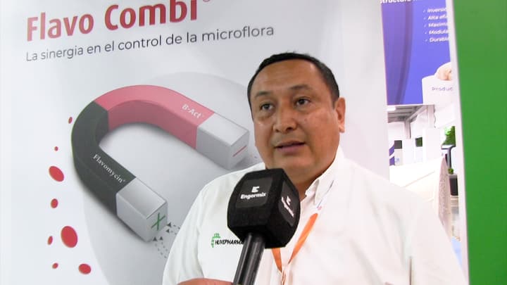 Coccidiosis, estrategias integrales