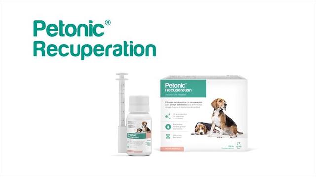 Recuperación más rápida de perros. Petonic