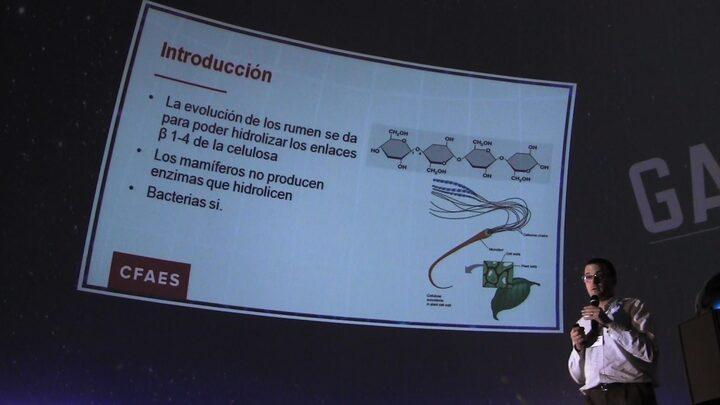 Conocimiento básico de la microbiología ruminal