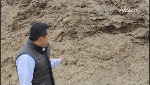 Manejo integral de las micotoxinas en Ganado Lechero