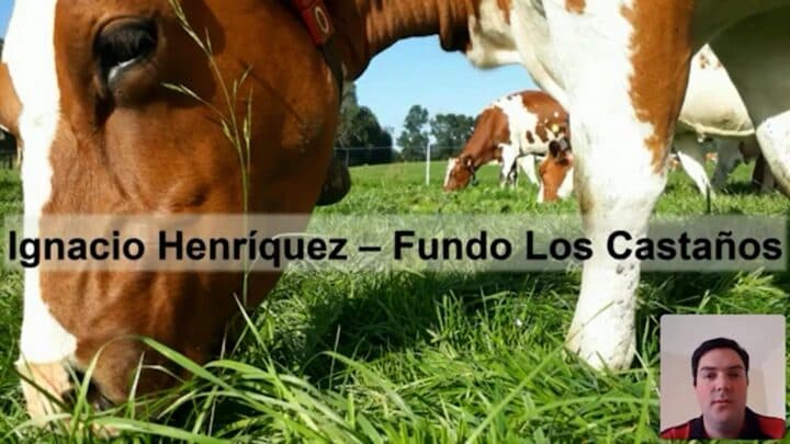 SEL Latam 2022 - Honrar el legado desde la innovación