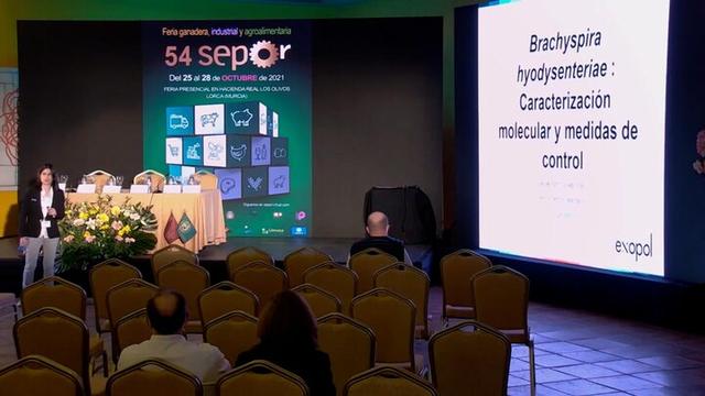 Brachyspira hyodysenteriae: Caracterización molecular y medidas de control