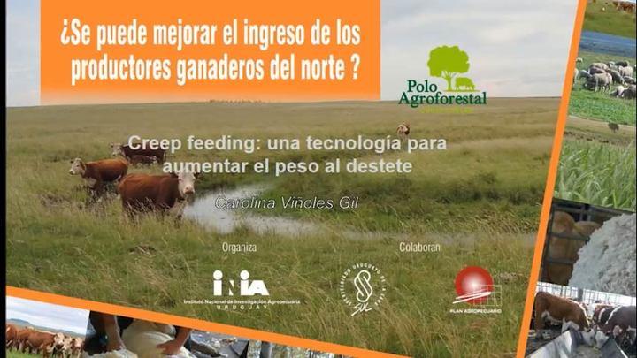 Creep Feeding: tecnología para aumentar el peso al destete