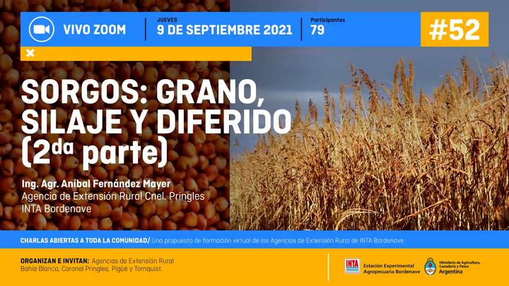 Sorgos: Grano, Silaje y Diferido 