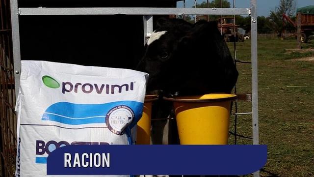 Ración de Inicio: recomendaciones