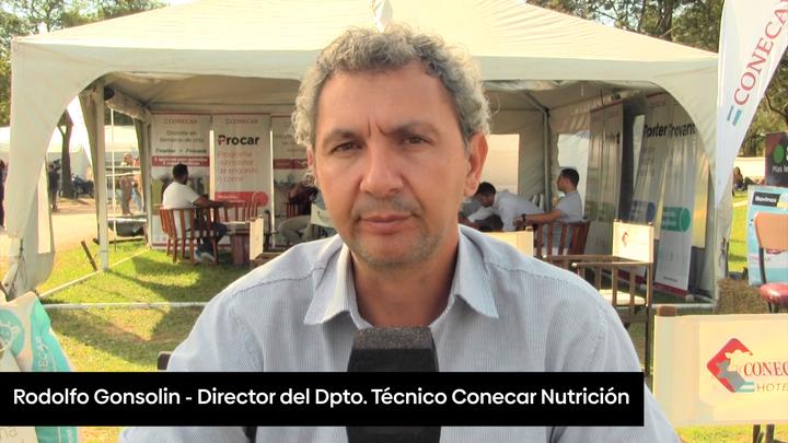 Crianza Artificial: Estrategias en la nutrición del ternero