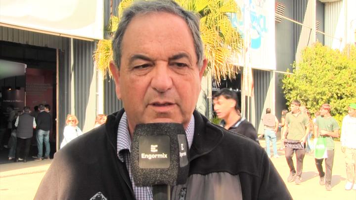 Salud intestinal en rumiantes: Butirato de Calcio