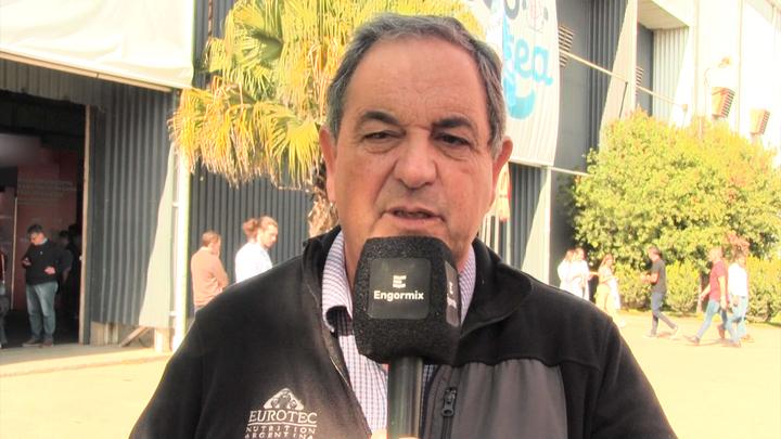 Problemas del calostrado en terneros