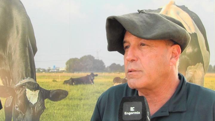 Guacheras: ¿Qué hacer cuando la diarrea se hace manifiesta?