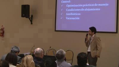 Micoplasma en cerdos: Ventajas y desventajas de las vacunas. Pablo Tamiozzo (UNRC)