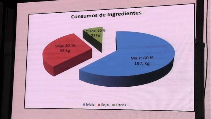 Optimizar costos de alimentación en cerdos. Jorge Labala (Vetifarma)