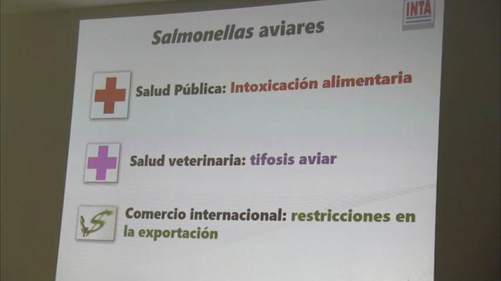 Prevalencia de salmonellas paratíficas en el cono sur