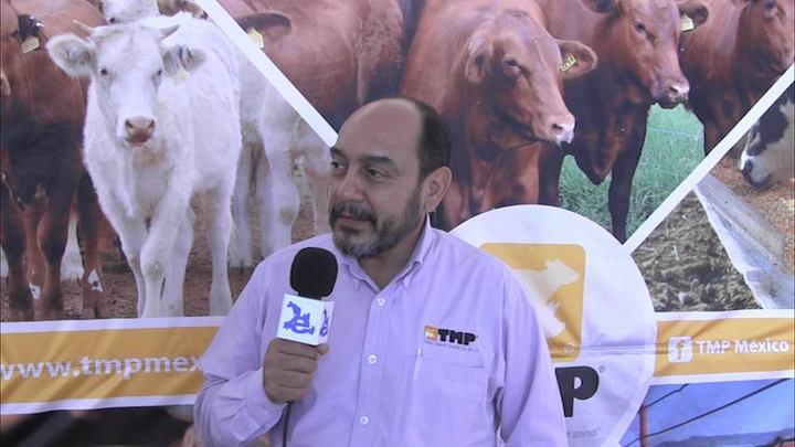 Taninos en suplementación 