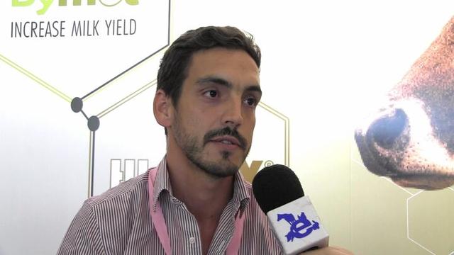 Requerimientos proteicos en la producción lechera
