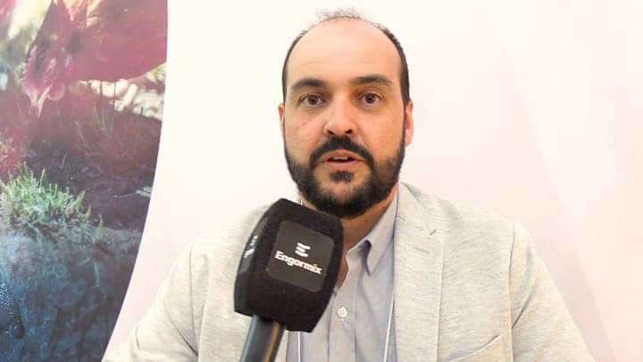 Los 4 pilares de la resiliencia animal