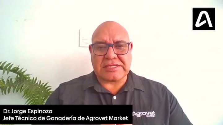 Parásitos en la ganadería: ¿Cómo son y por qué es importante tenerlos bien identificados?