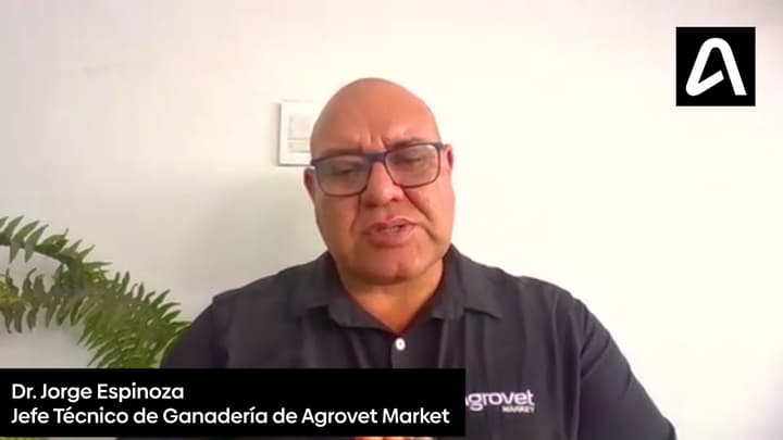 Ganadería: Diagnóstico y estrategias de control antiparasitario