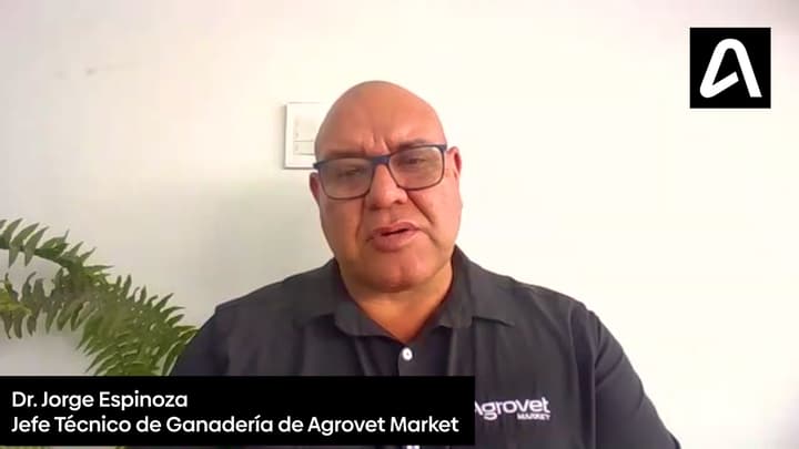 Errores comunes en la elección de un tratamiento antiparasitario