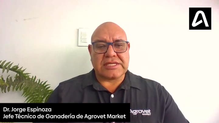 Impacto económico de los parásitos en las ganaderías