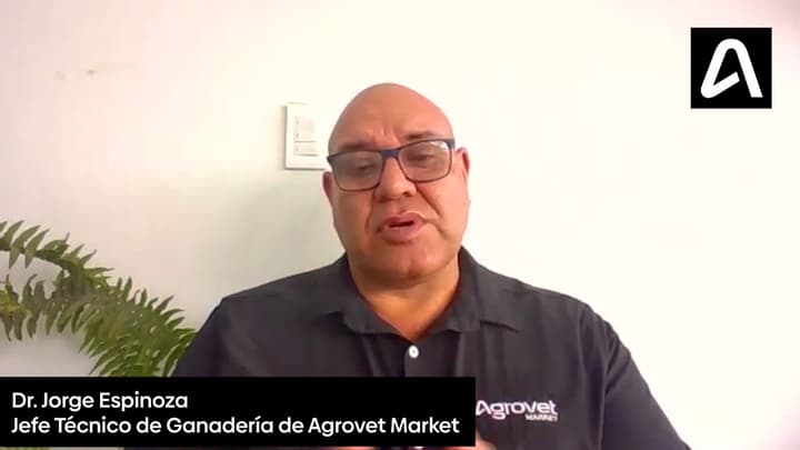 Antiparasitarios: Ventajas de las moléculas de última generación