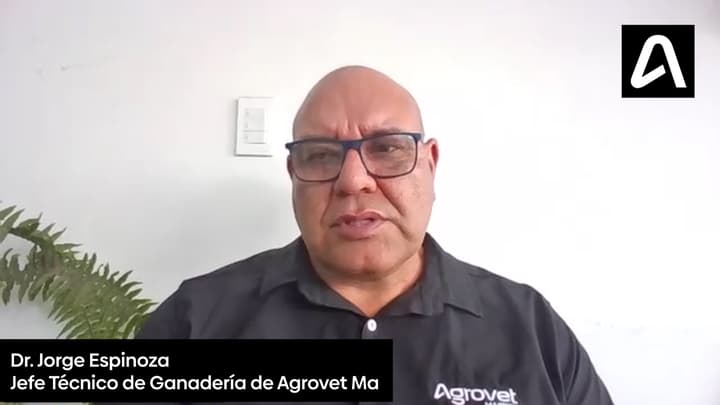 Nuevas moléculas antiparasitarias en ganado: Pruebas de campo