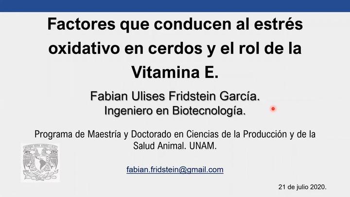 Estrés oxidativo en cerdos y el rol de la Vitamina E