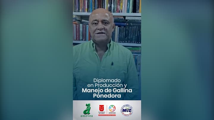 Diplomado en Producción y Manejo de Gallina Ponedora