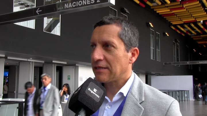 Bronquitis en avicultura:  Errores comunes en la vacunación 